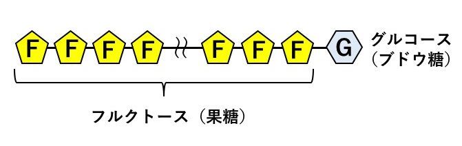 フルクトース
